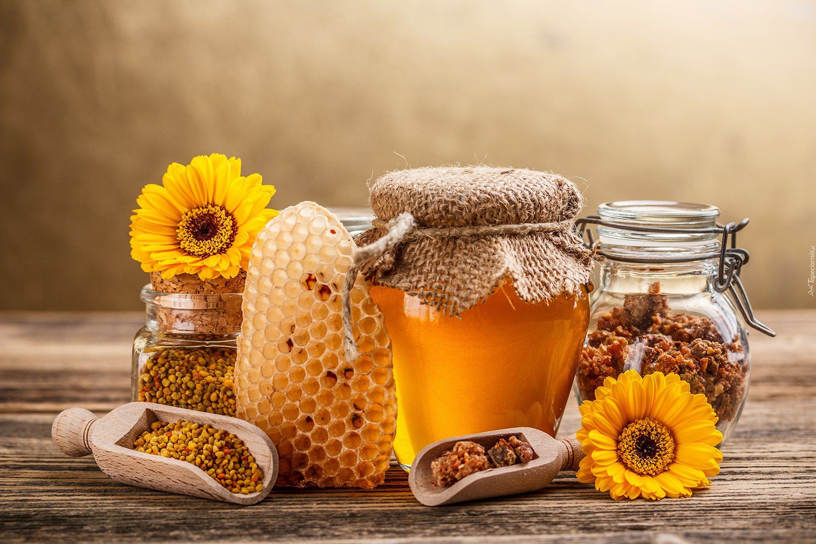 Seeking Input On Bee Biosecurity In Canada